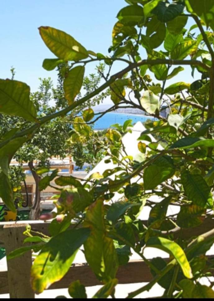 Queens Luxury Glamping Palaiokastro  Exterior foto
