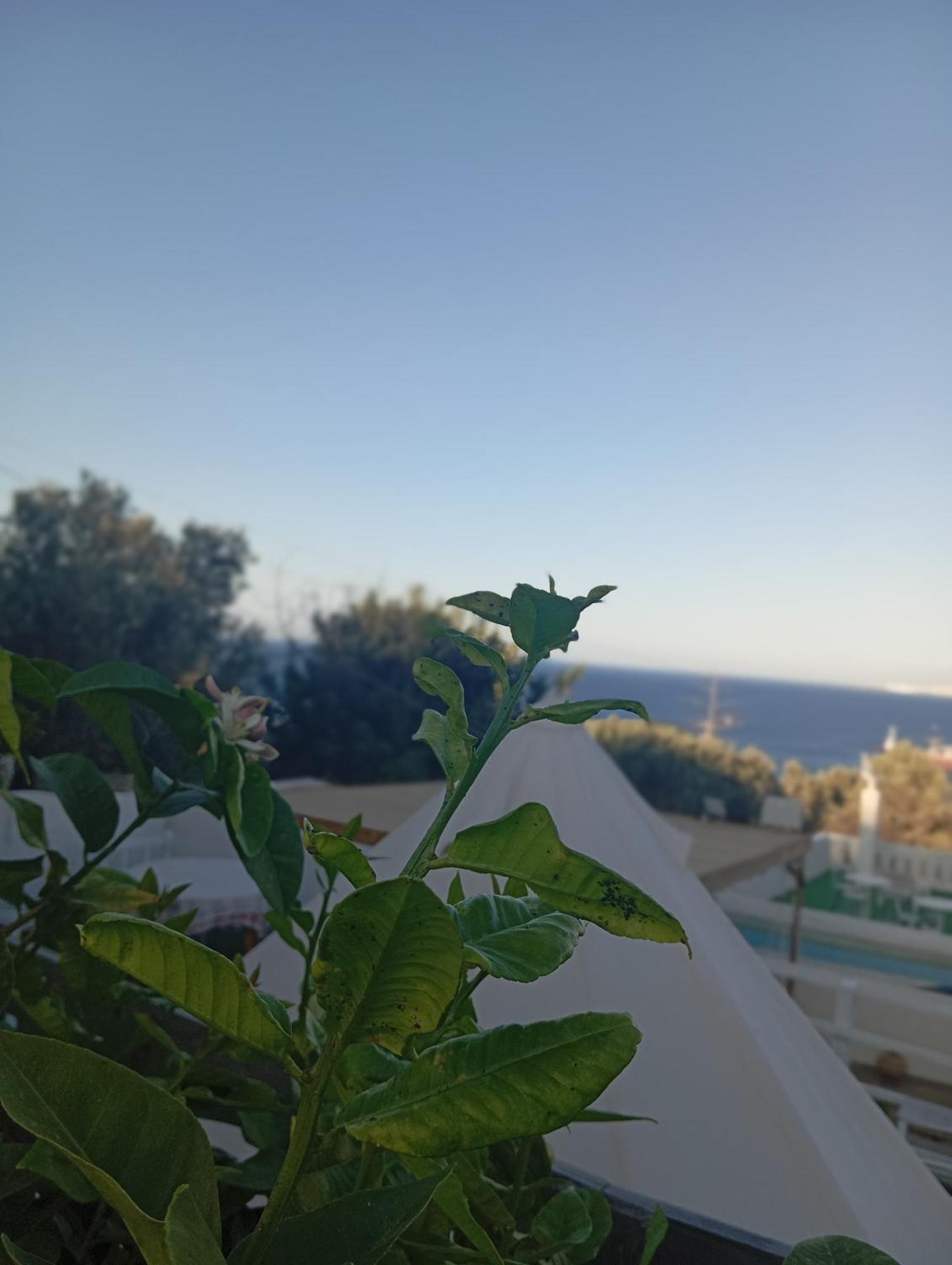 Queens Luxury Glamping Palaiokastro  Exterior foto