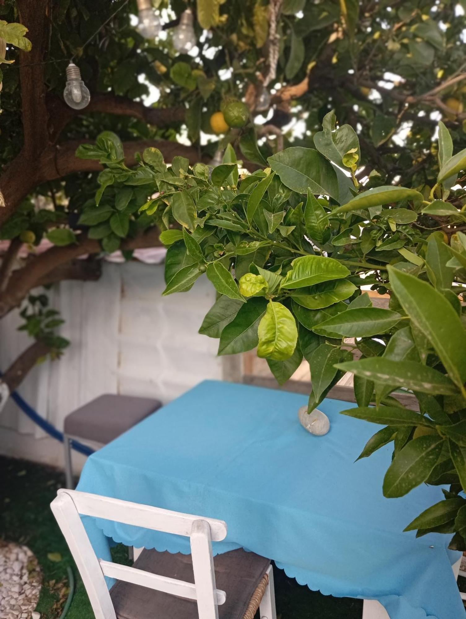 Queens Luxury Glamping Palaiokastro  Exterior foto